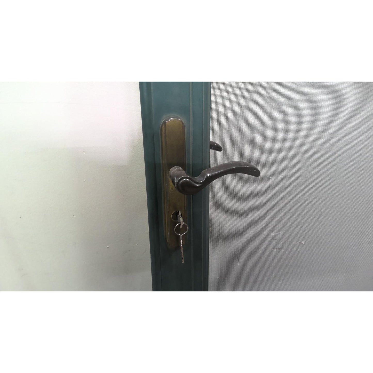 Green Screen Door 35x79.5