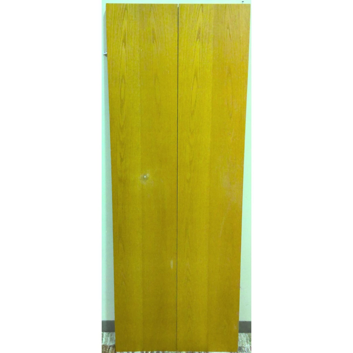 30" x 79" Hollow Core Bifold Closet Door Slab
