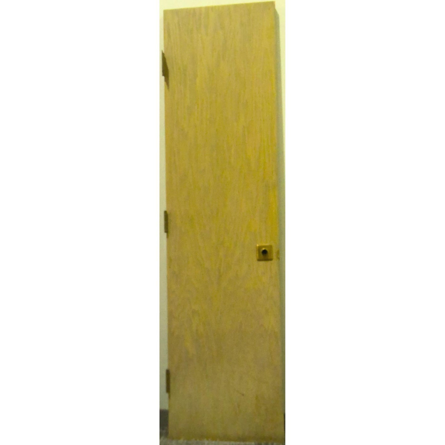 22" x 84" Closet Door Slab