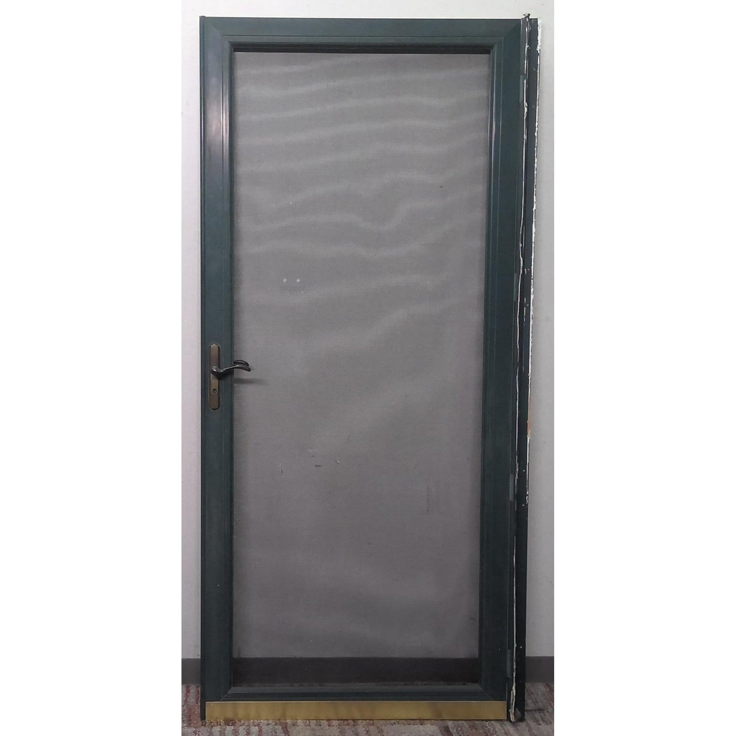 Green Screen Door 35x79.5