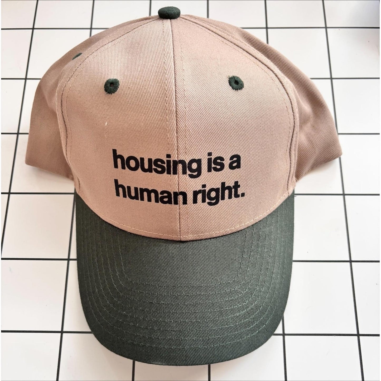 Housing is a Human Right Hat