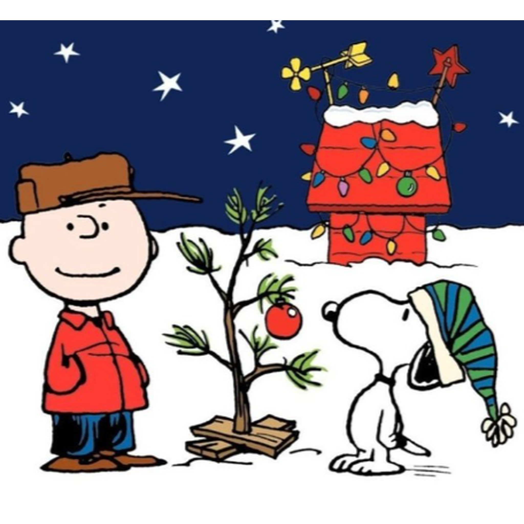 Christmas / Holiday Decor Habitat for Humanity ReStore