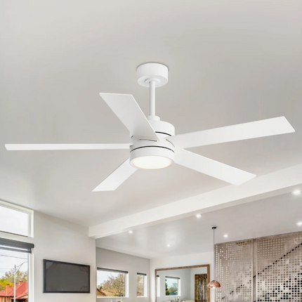 Collection image for: Lighting & Ceiling Fans