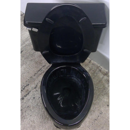 Black Toilet