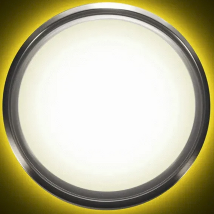 14" LED Ceiling Light with Mood Lighting and Motion Sensor