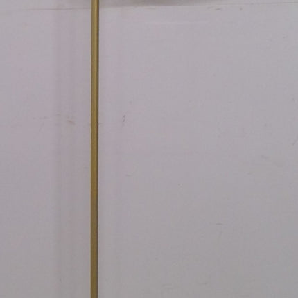 Floor Lamp with Remote