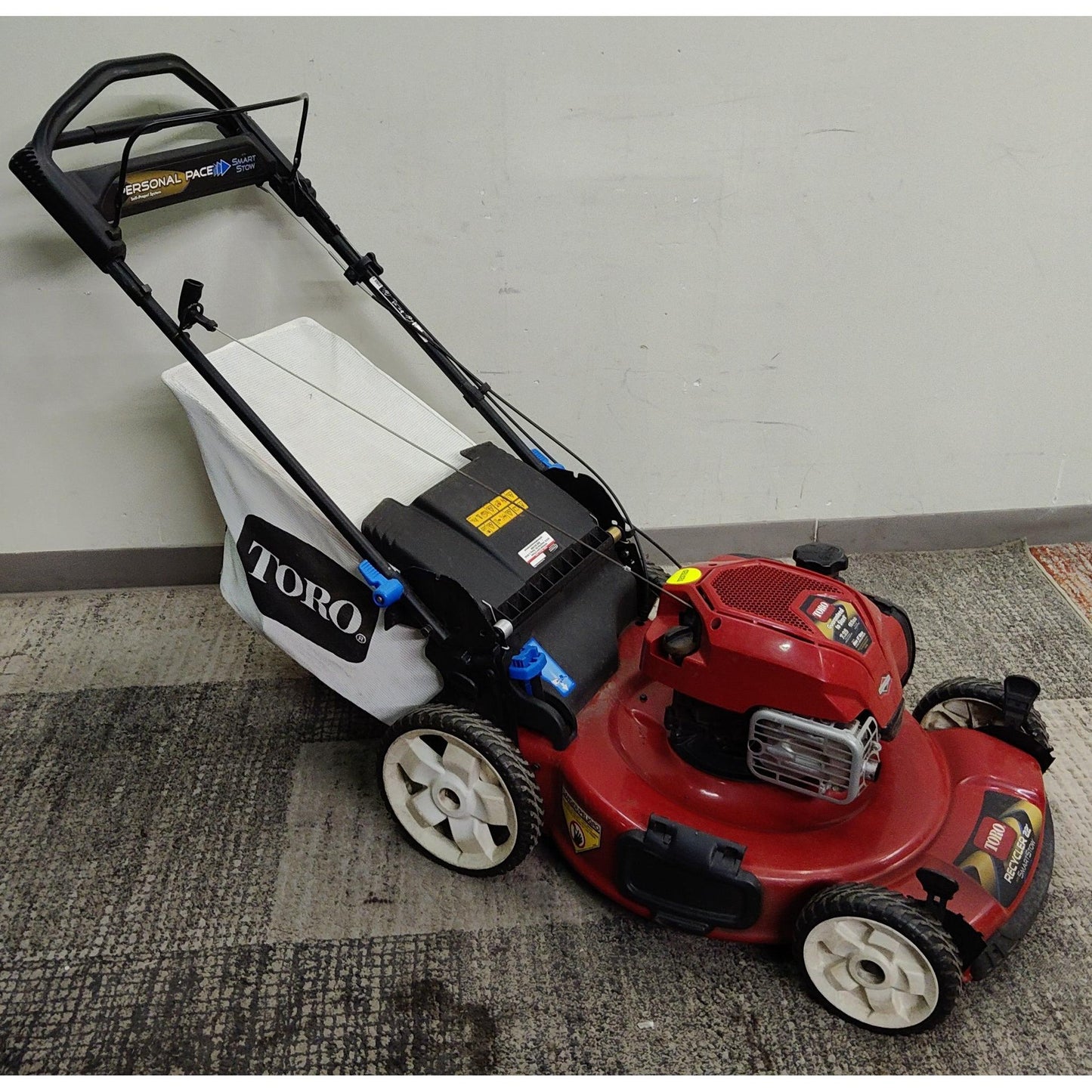 Toro Recycler 22" Gas Self-Propelled Lawn Mower
