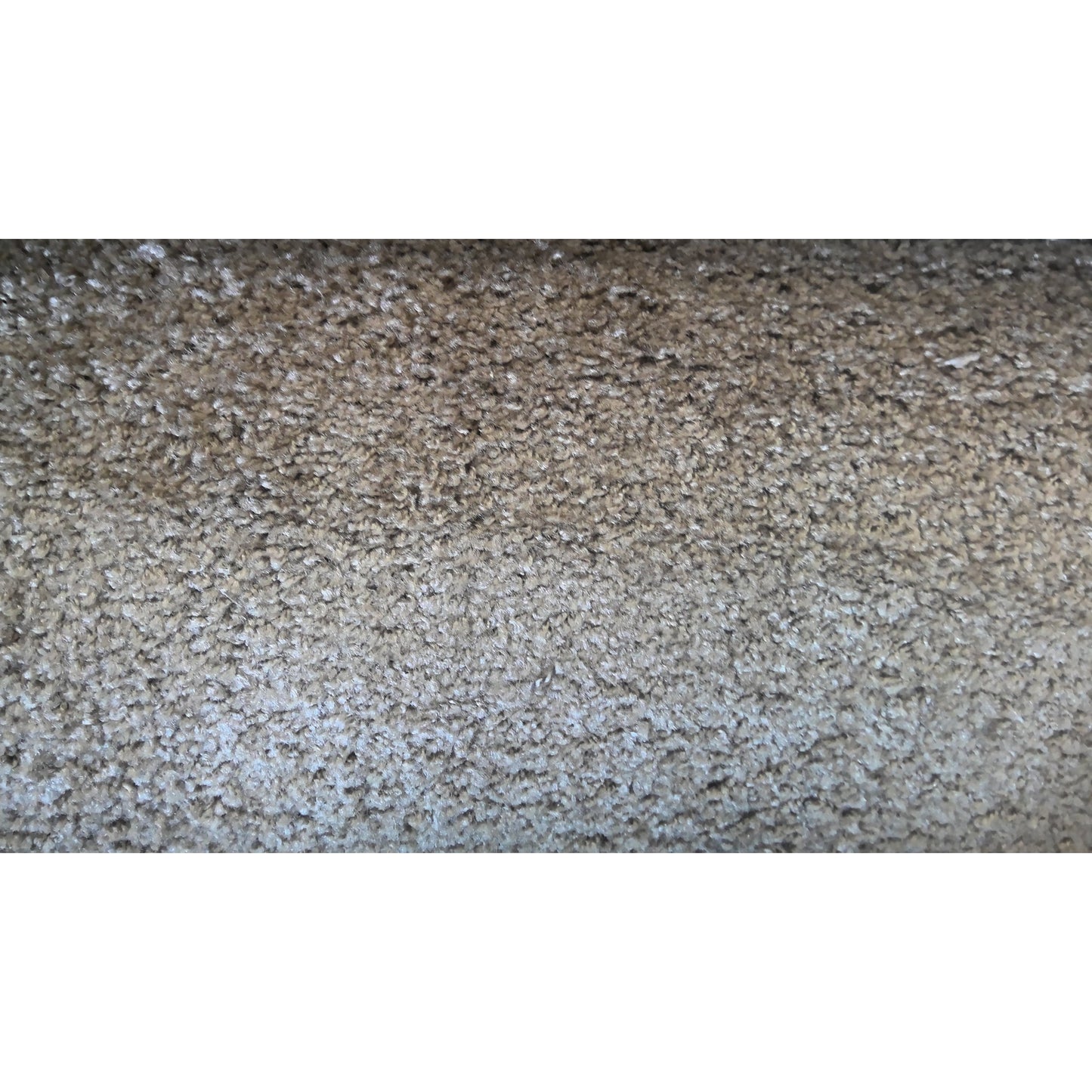 Tan Carpet Roll 11'x31'