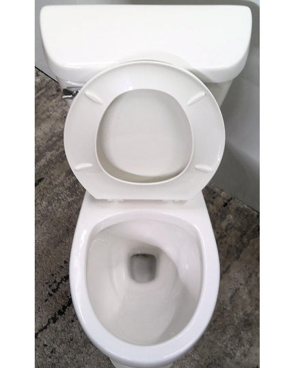 Two Piece Toilet