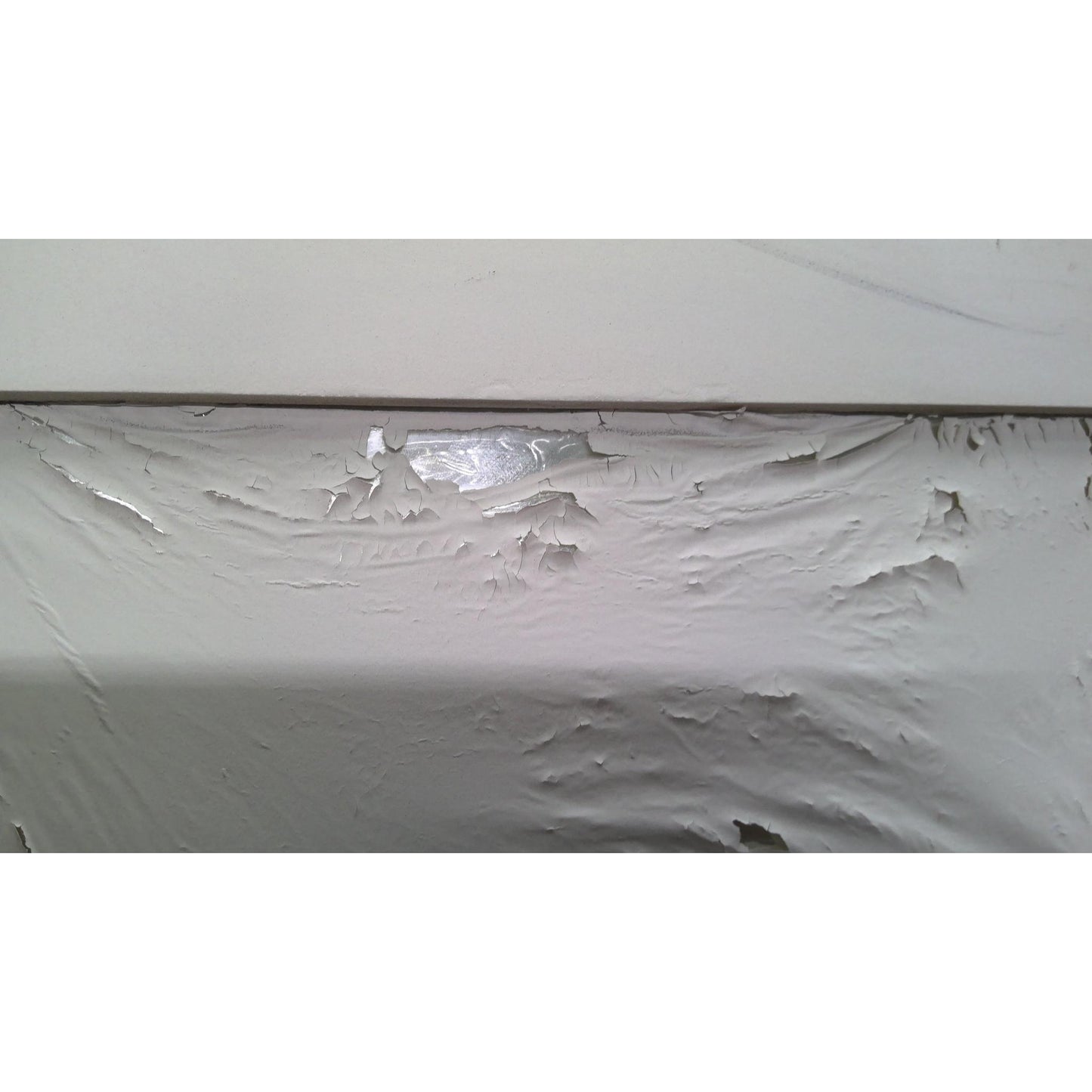 28" x 79" Mirror Door