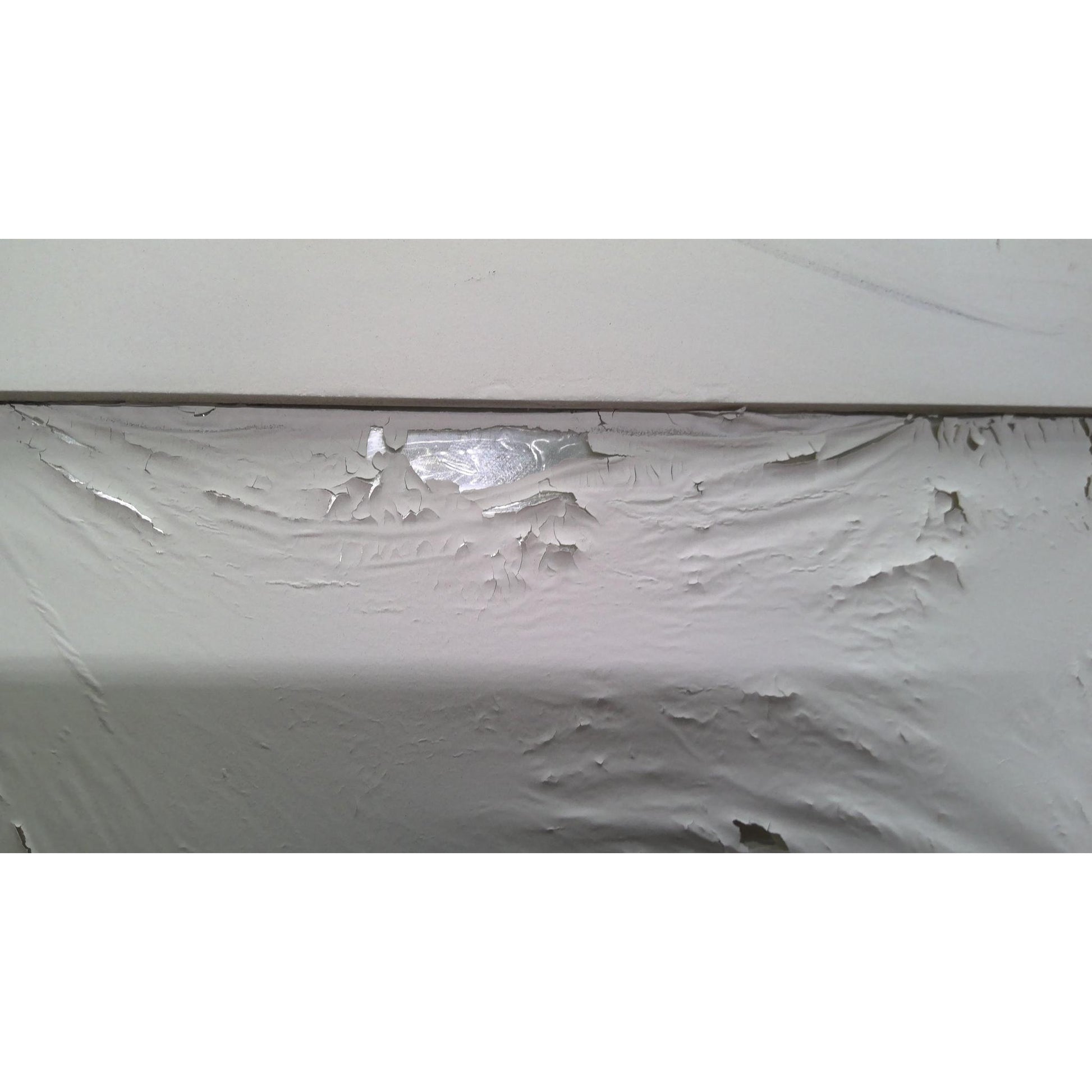 28" x 79" Mirror Door