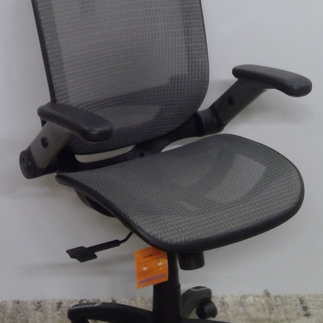 Gray Mesh Ergonomic Office Chair with Headrest (Added 07/22/2026)