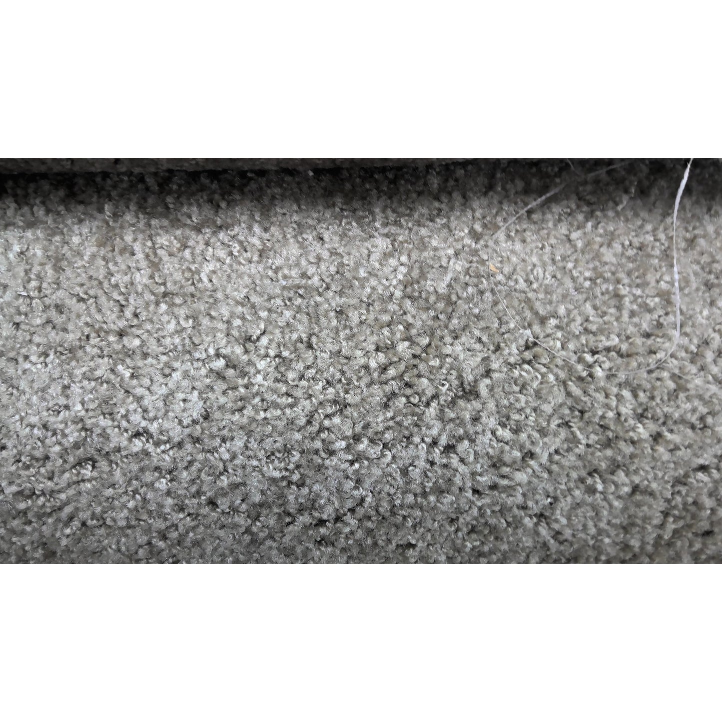 Tan Carpet Roll 11'x10'