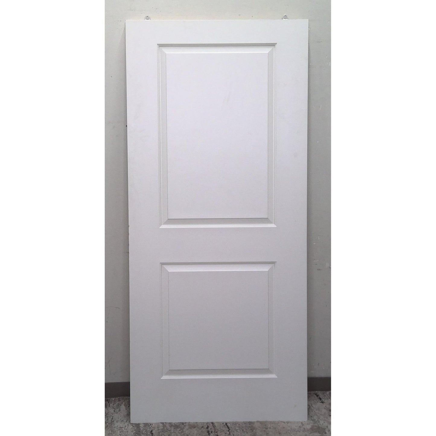 36" x 80" 2 Panel Door
