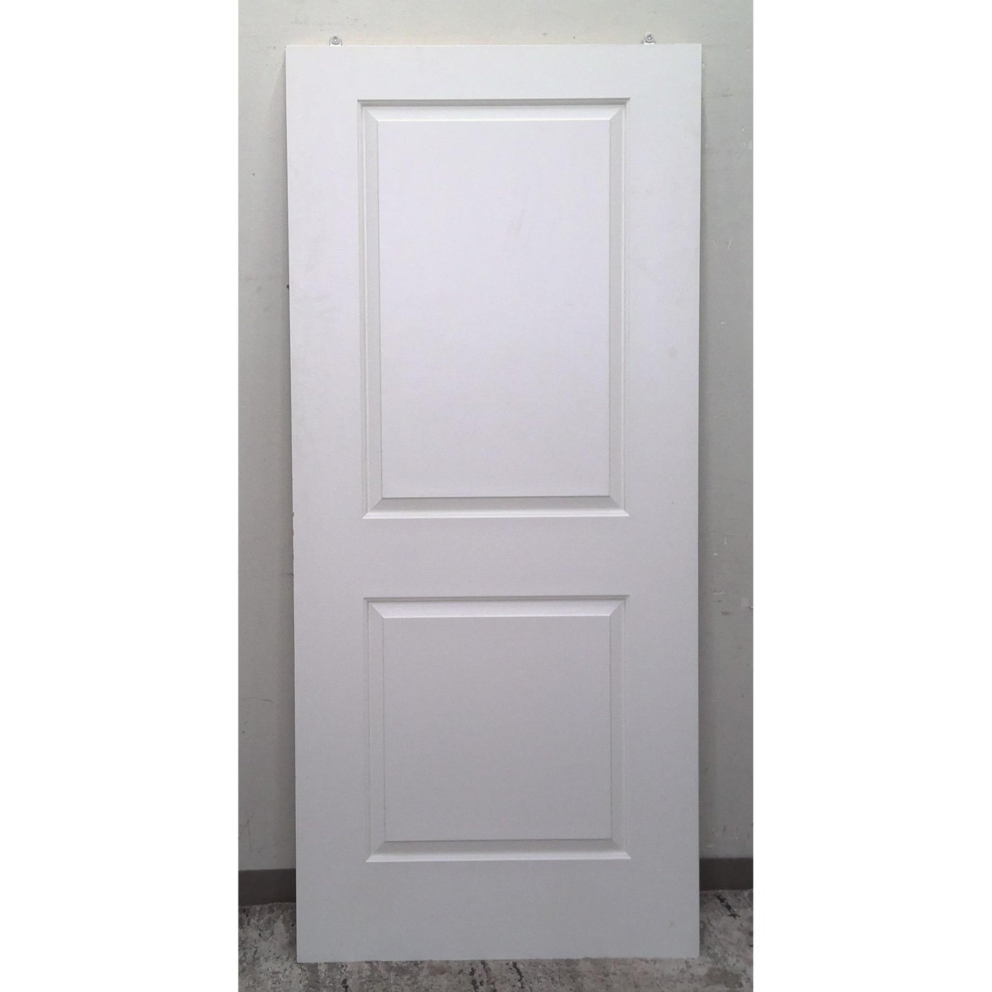36" x 80" 2 Panel Door