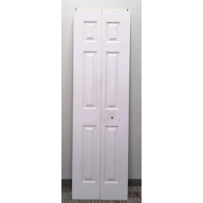 23.5" x 79.5" Bifold Closet Door