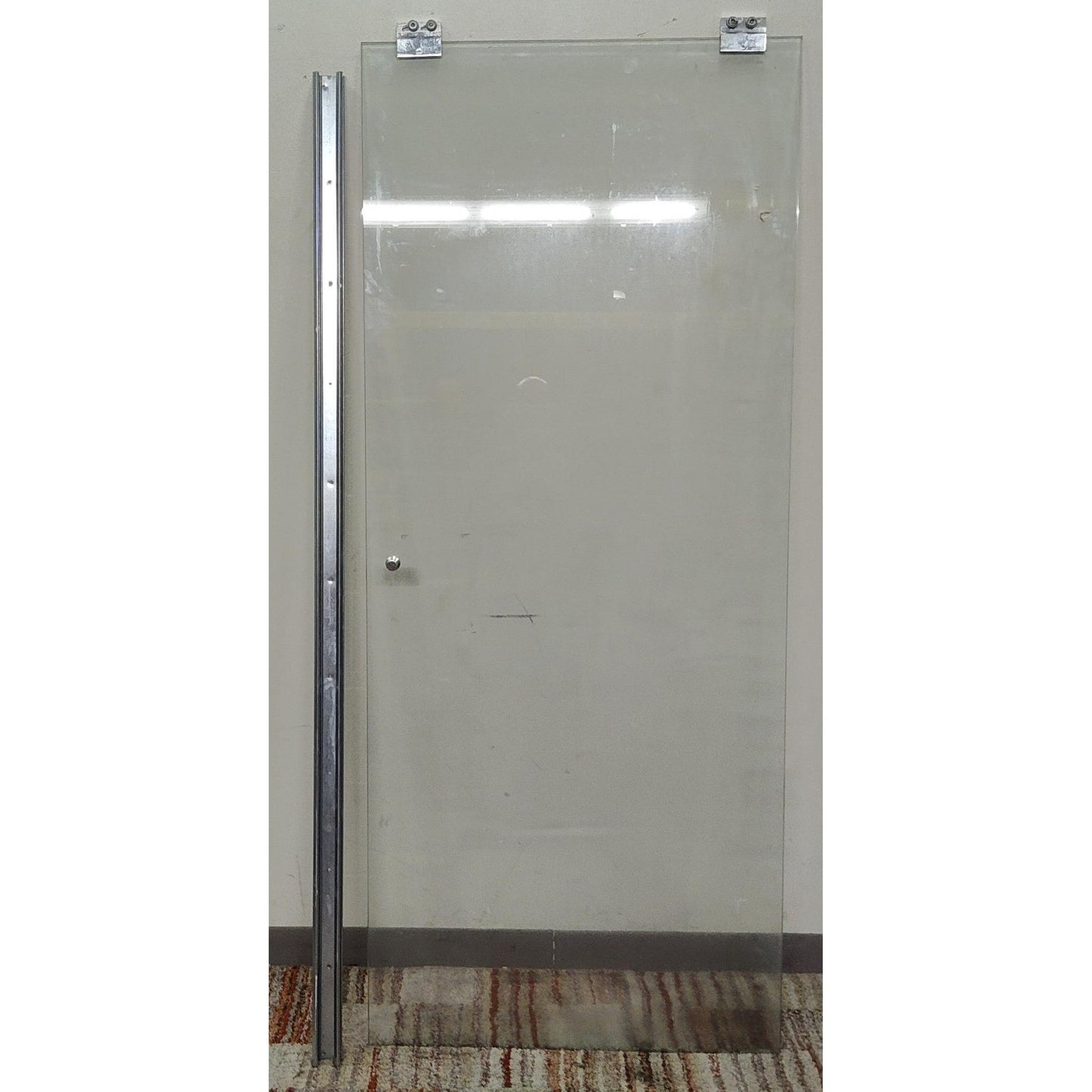 Shower Door