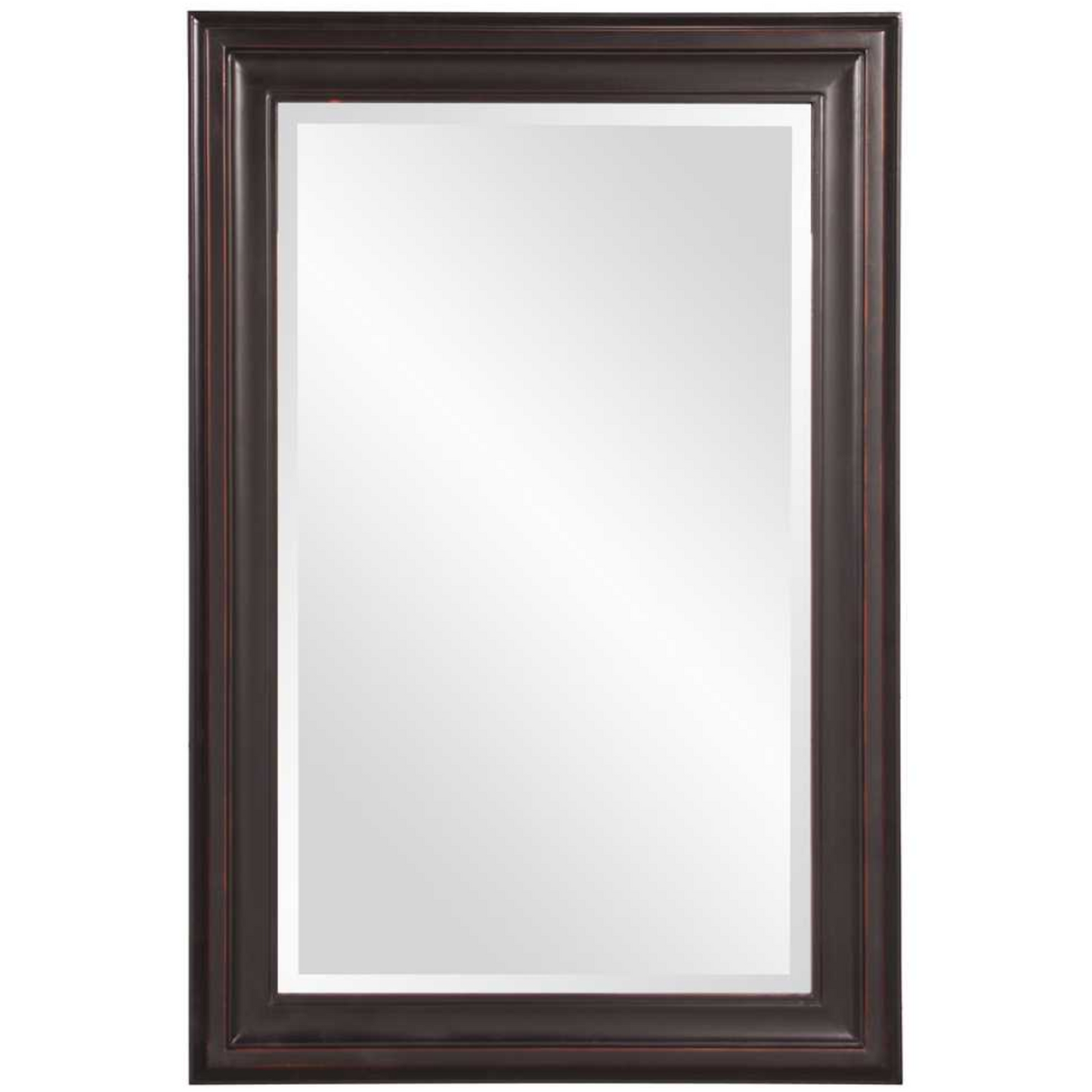 George Oil Rubbed Bronze Wall Mirror