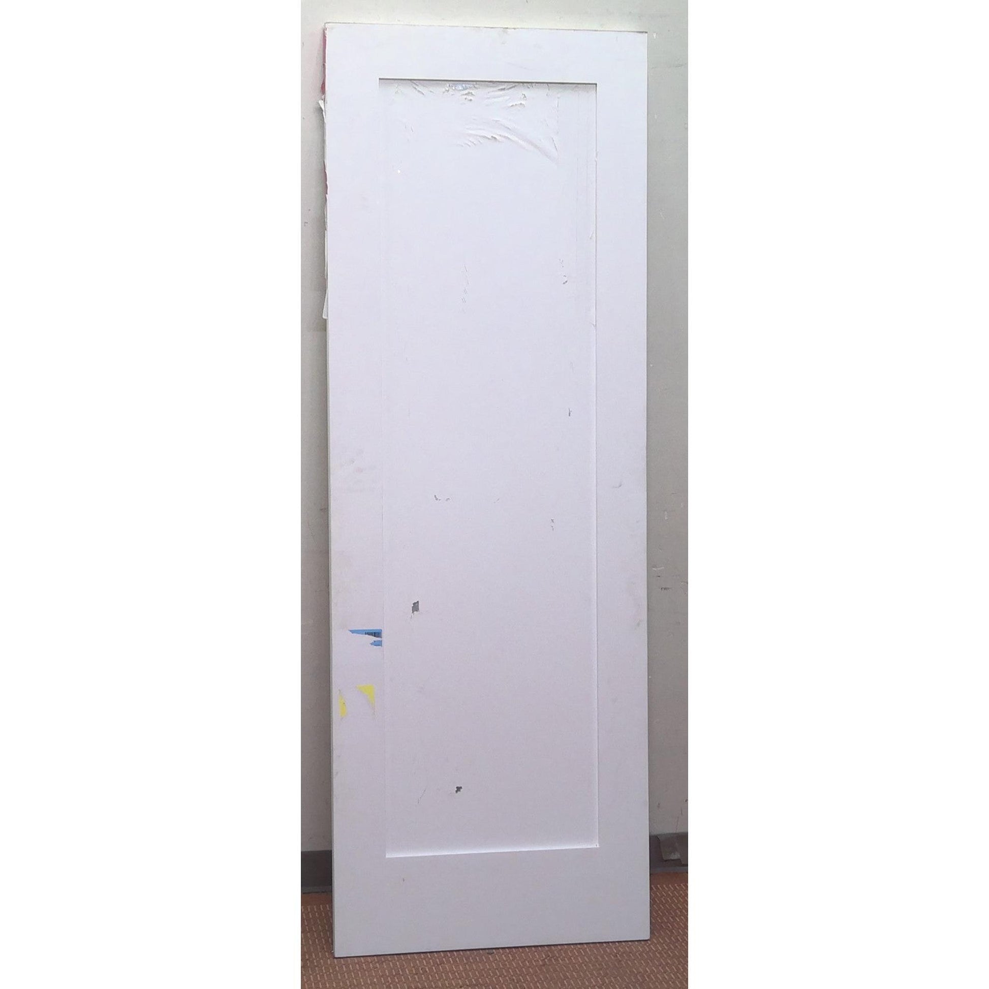 28" x 79" Mirror Door