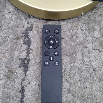 Floor Lamp with Remote
