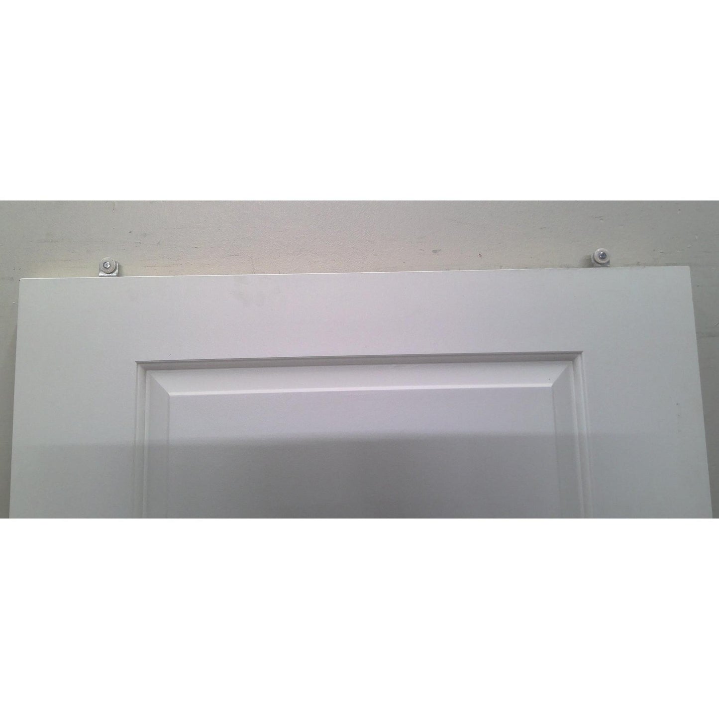 36" x 80" 2 Panel Door