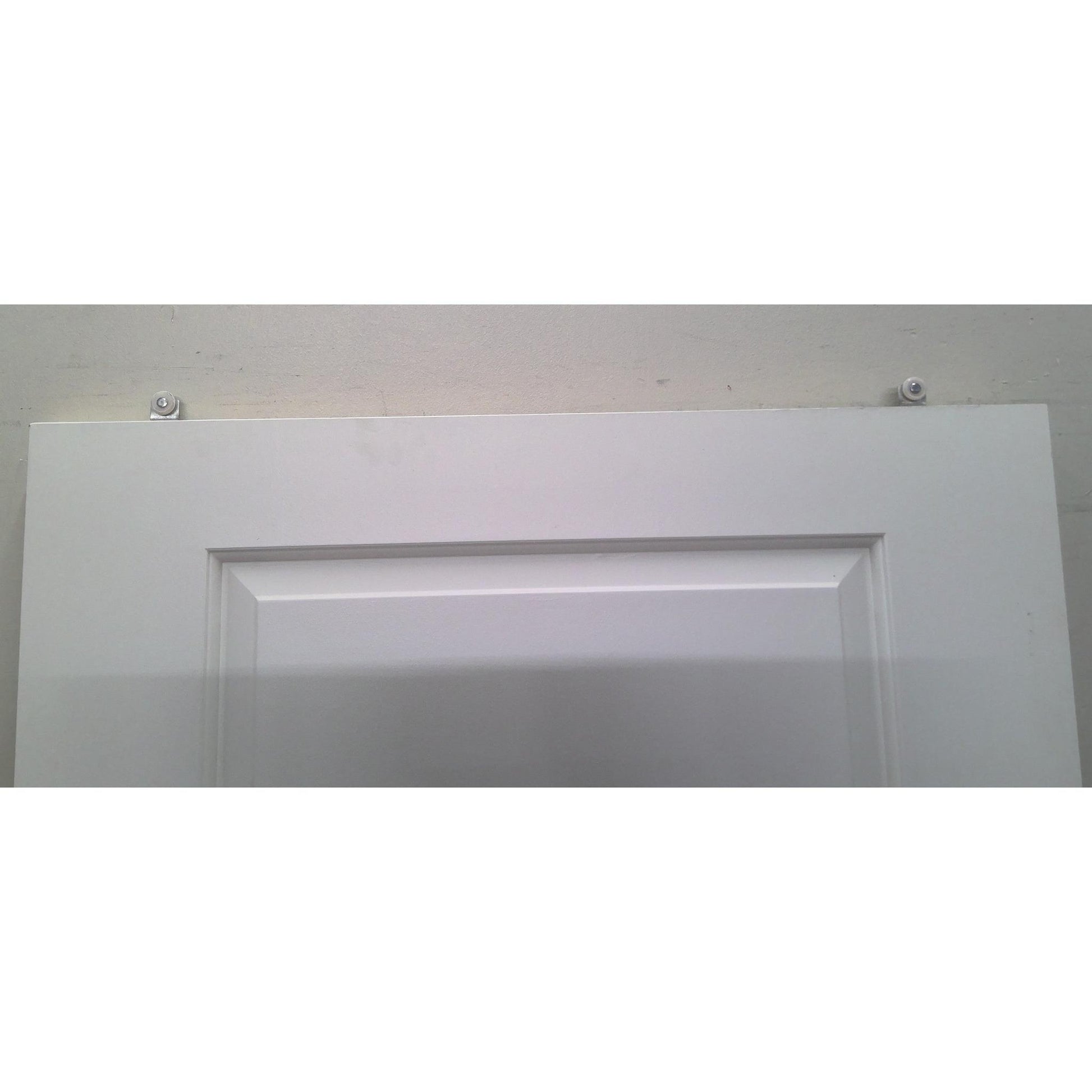 36" x 80" 2 Panel Door