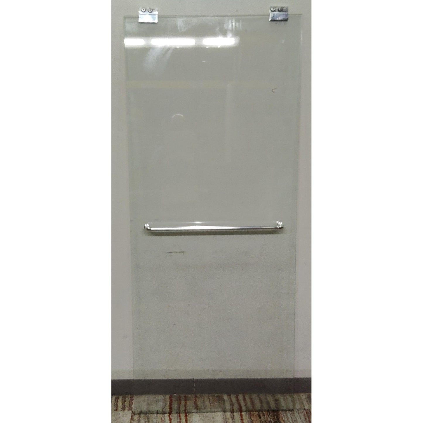 Shower Door