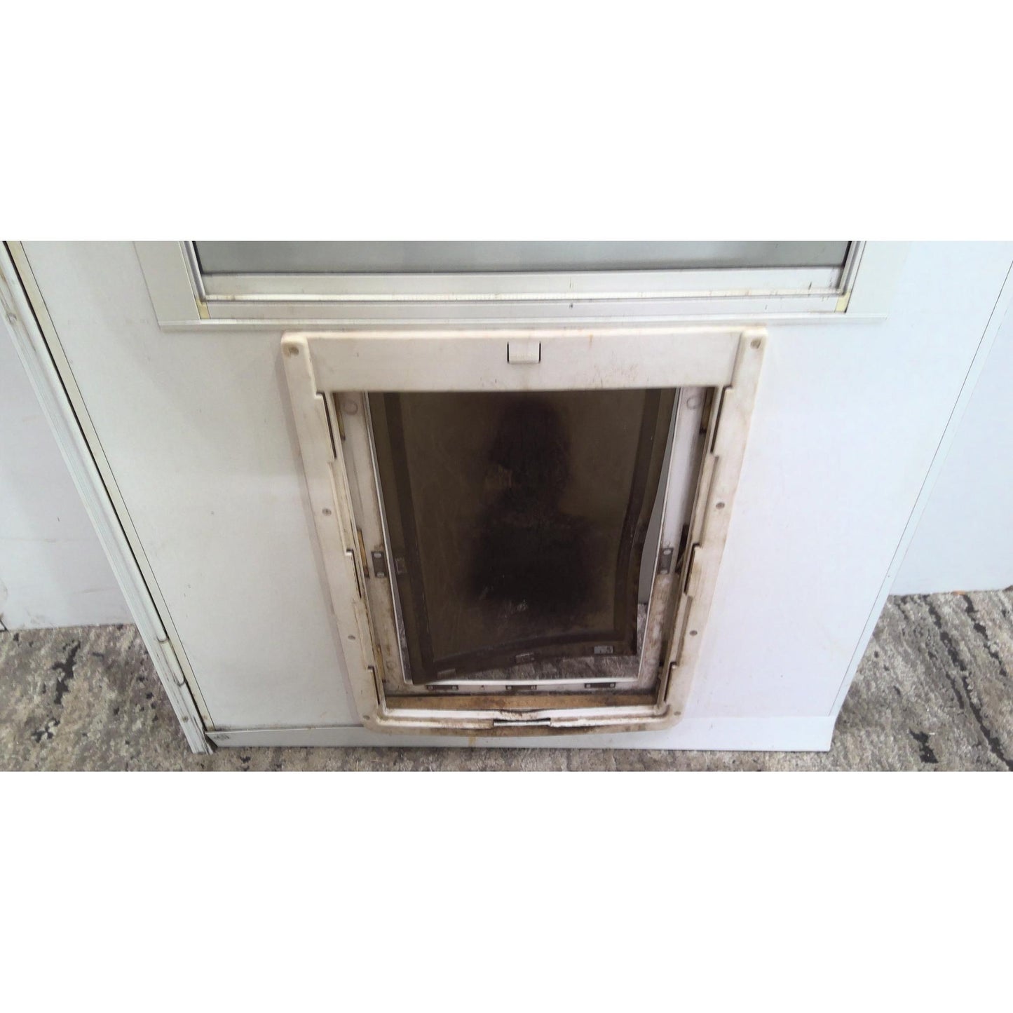 31.25" x 80" Storm Door with Pet Flap