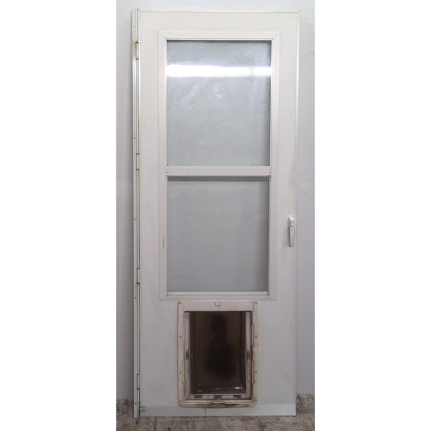 31.25" x 80" Storm Door with Pet Flap