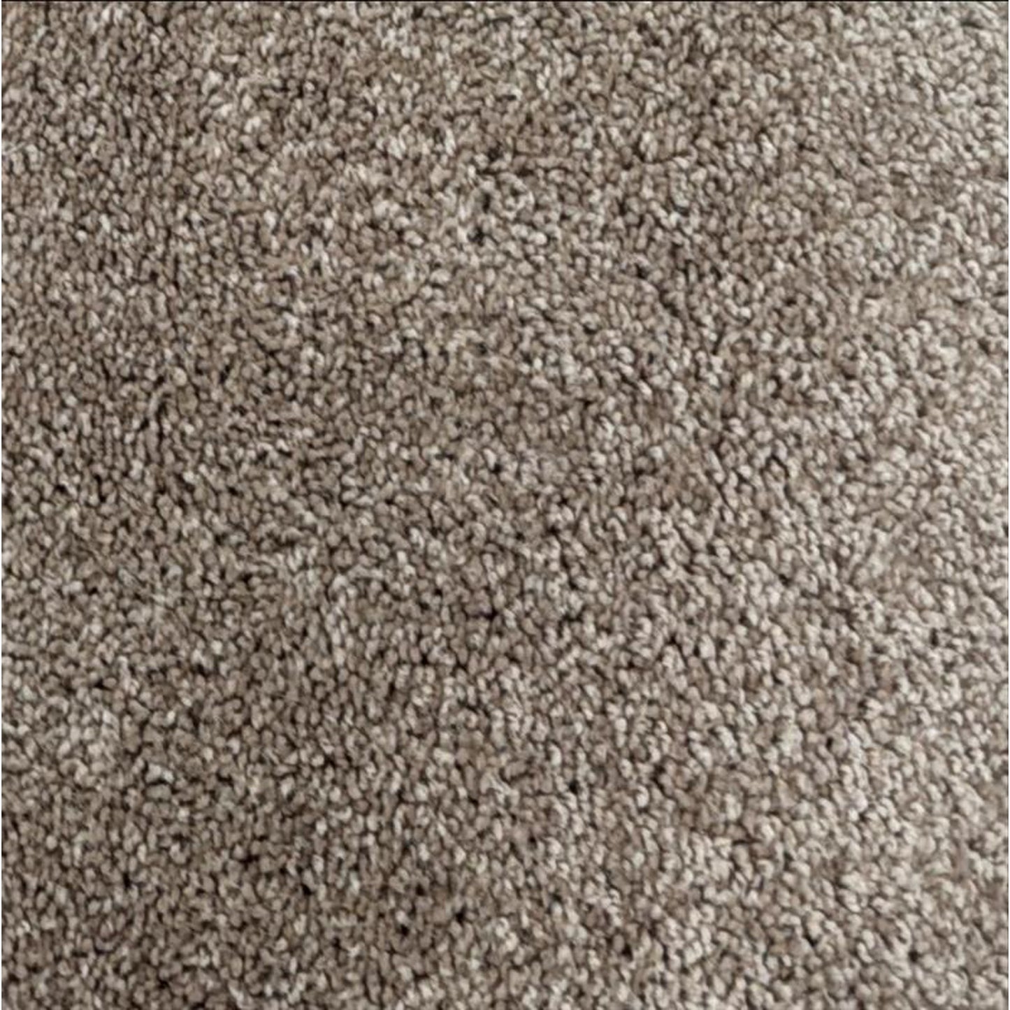 11ft x 13ft Tan Carpet