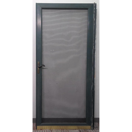 Green Screen Door 35x79.5